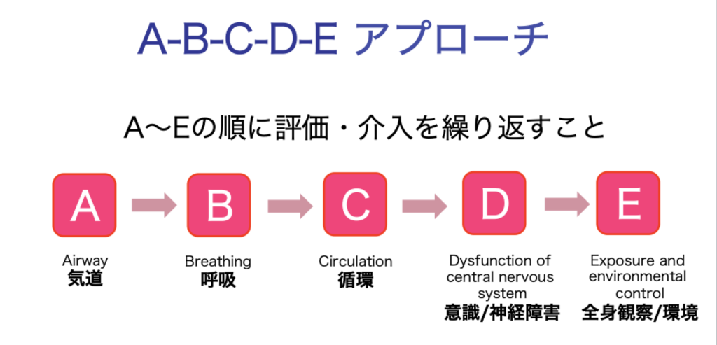 救急対応の基本概念A-B-C-D-Eアプローチ